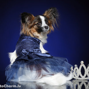 Naomi Elegantia Fortitudo, Latvija