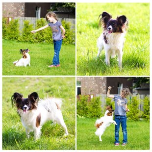 Drita Elegantia Fortitudo Igaunija, Estonia