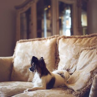 Drita Elegantia Fortitudo Igaunija,Estonia