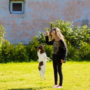 Drita Elegantia Fortitudo Igaunija,Estonia