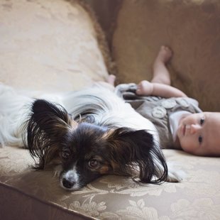 Drita Elegantia Fortitudo, Igaunija,Estonia